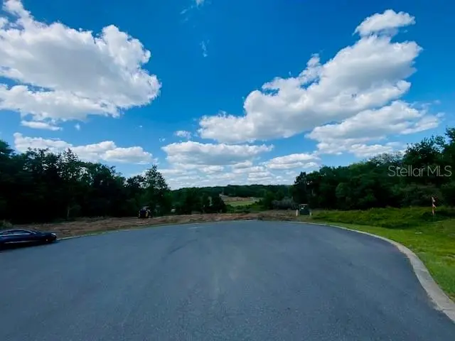 Darlington Avenue, Lady Lake, FL 32159 - Image #2