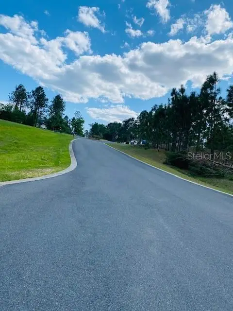 Darlington Avenue, Lady Lake, FL 32159 - Image #3