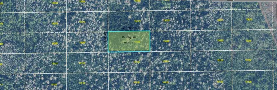 Dill Road, Bithlo, FL 32820 - #3