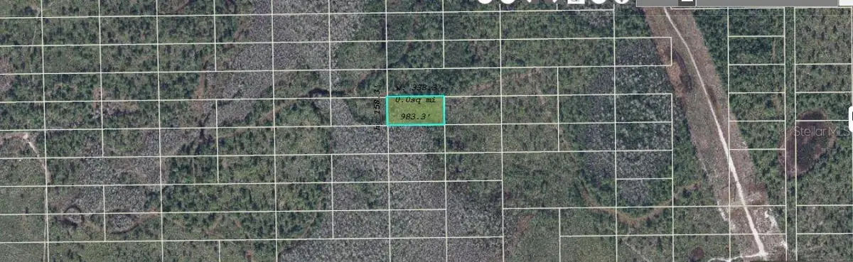 Dill Road, Bithlo, FL 32820 - #1