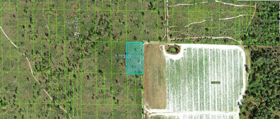 Grape Hammock Rd, Lake Wales, FL 33898 - Image #1