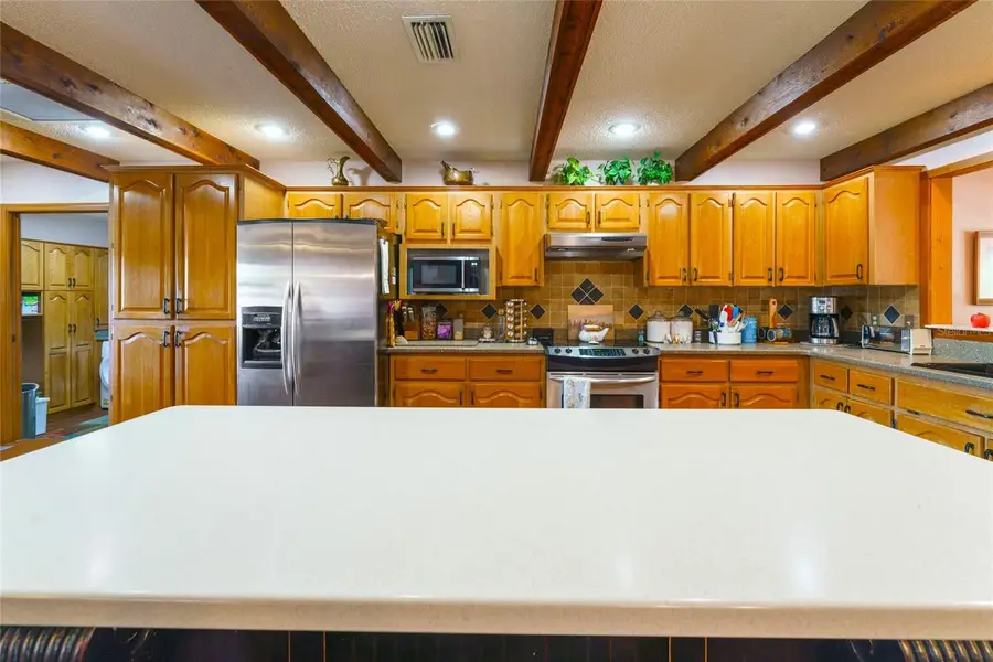 35841 Timbertop Lane, Fruitland Park, FL 34731 - Image #2