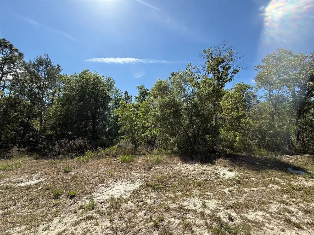 N/A SW 89th Terrace, Dunnellon, FL 34432 - Image #1