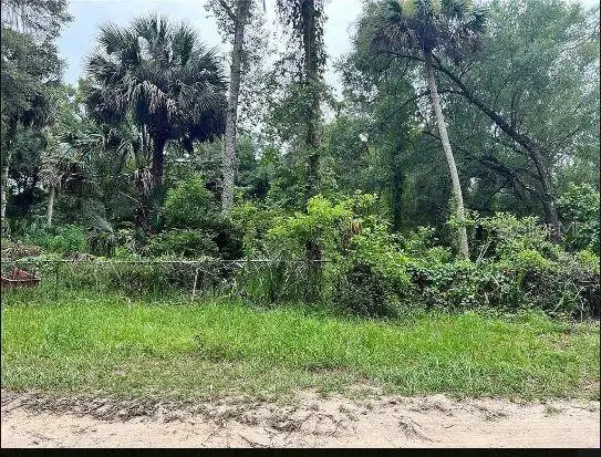 25040 E Avenue B, Paisley, FL 32767 - Image #2