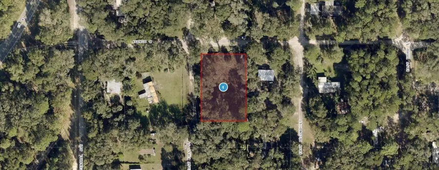 25040 E Avenue B, Paisley, FL 32767 - Image #3