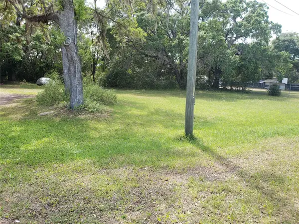 3024 State Road 46, MOUNT DORA, FL 32757