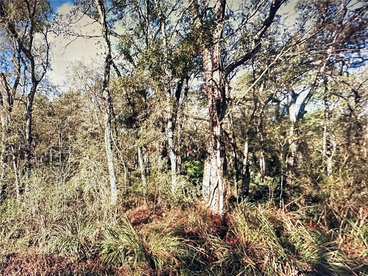 Table Rock Drive, Webster, FL 33597 - Image #1