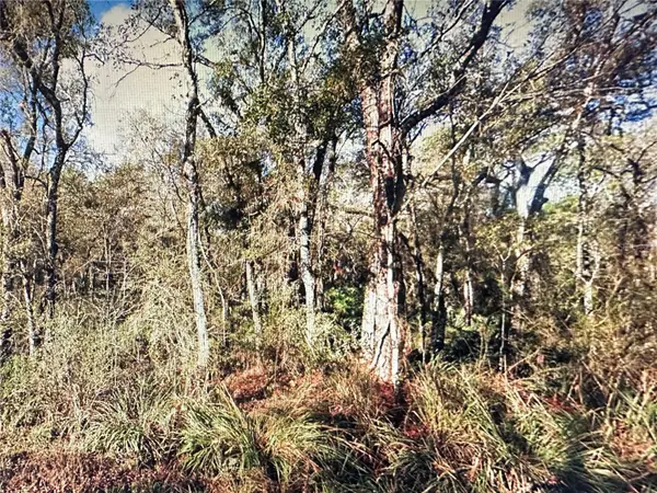 Table Rock Drive, WEBSTER, FL 33597