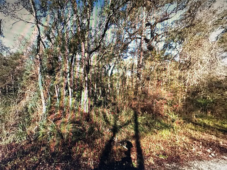 Table Rock Drive, Webster, FL 33597 - Image #2