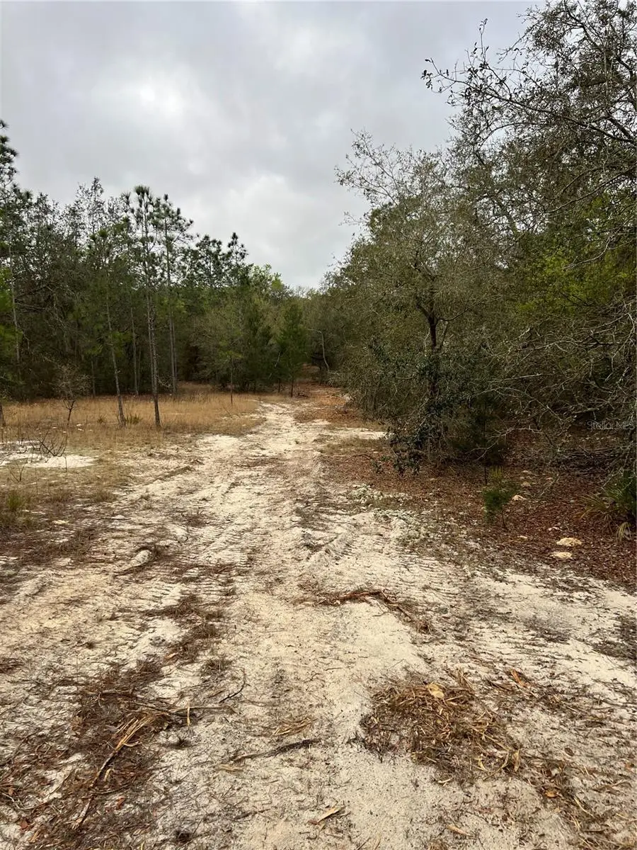 4625-4651 W Kelly Park Road, Apopka, FL 32712 - #3