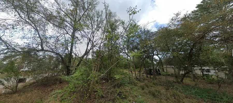 Morning View Drive, Paisley, FL 32767 - Image #2