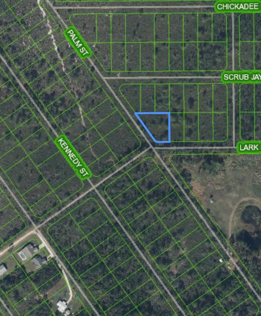 1316 Lark Street, Lake Placid, FL 33852 - Image #3