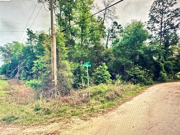 219 Kingston Boulevard, SATSUMA, FL 32189