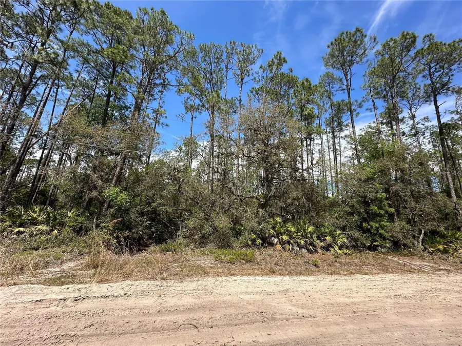 206 Hudson Street, Interlachen, FL 32148 - #2