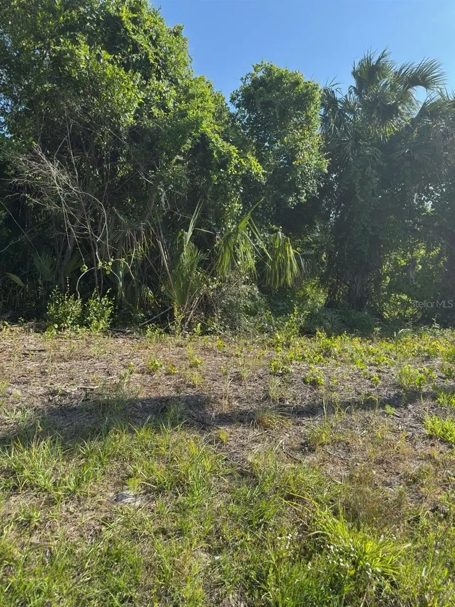 431 Birch Boulevard, Georgetown, FL 32139 - Image #1