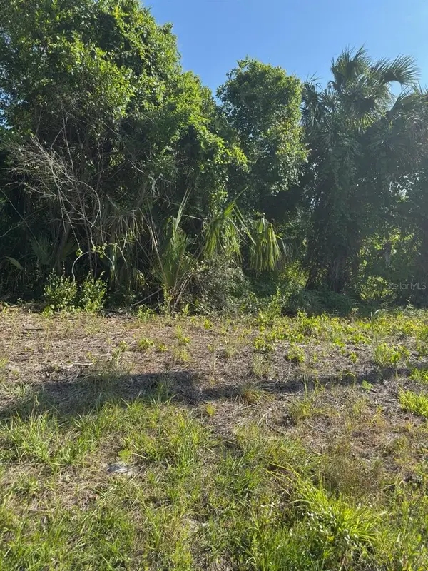 431 Birch Boulevard, GEORGETOWN, FL 32139