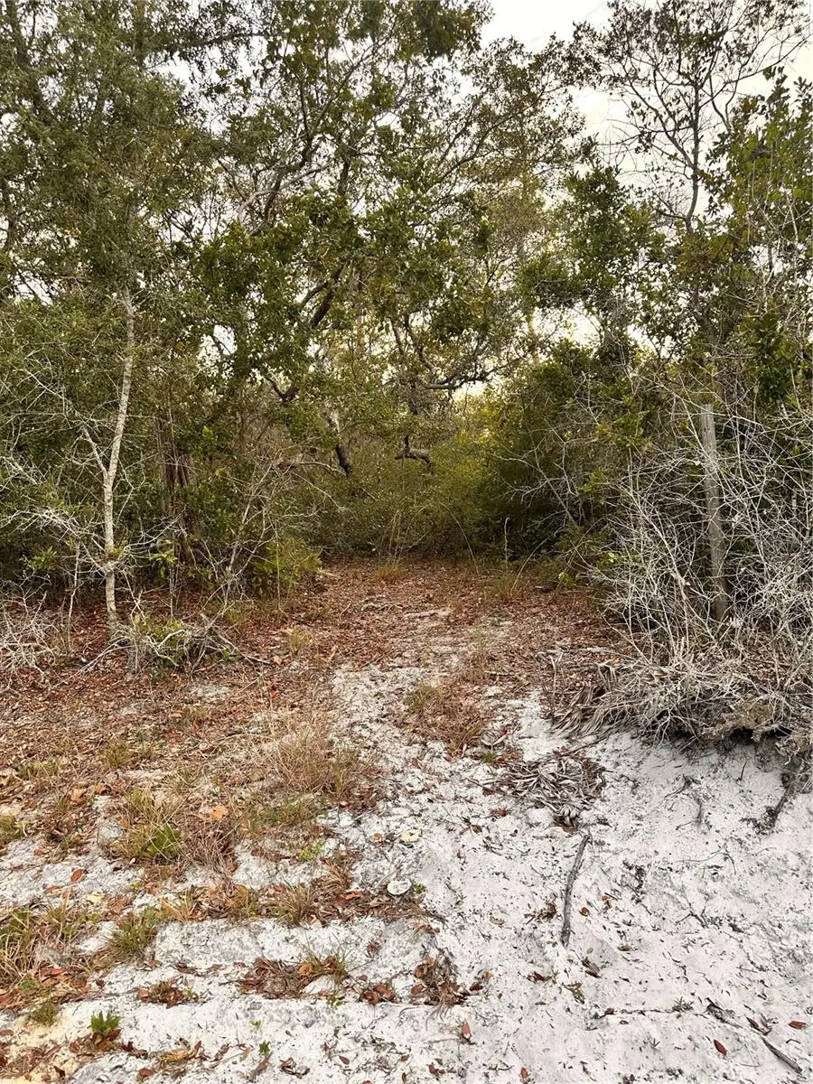 Purcell (paper) Street, Deltona, FL 32739 - Image #1