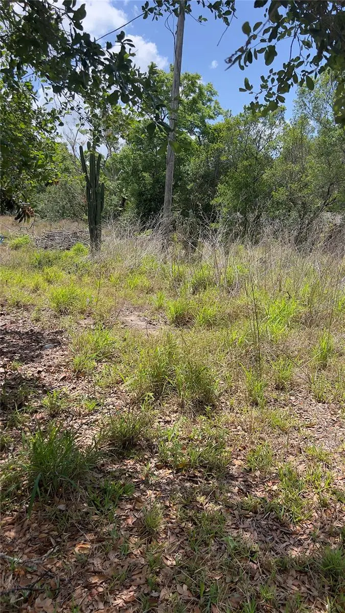 131 Bonita Parkway, Babson Park, FL 33827 - Image #3