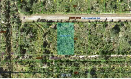 Calliandra Drive, Indian Lake Estates, FL 33855 - Image #3