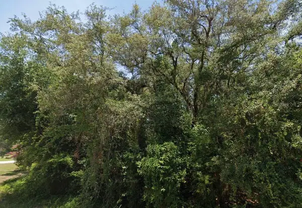 2145 N Morningside Road, AVON PARK, FL 33825