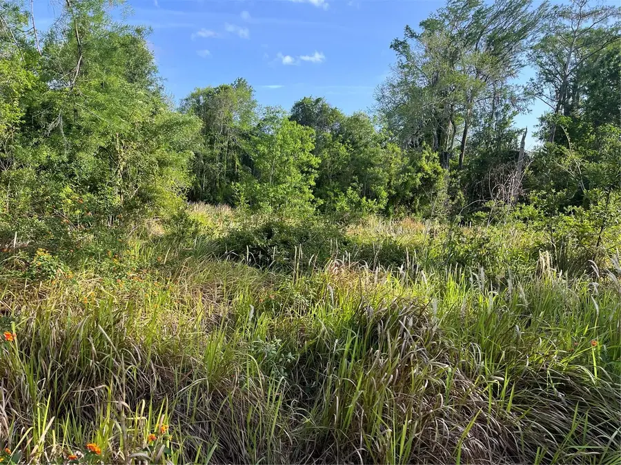 Harvest Lane, Kissimmee, FL 34744 - #2