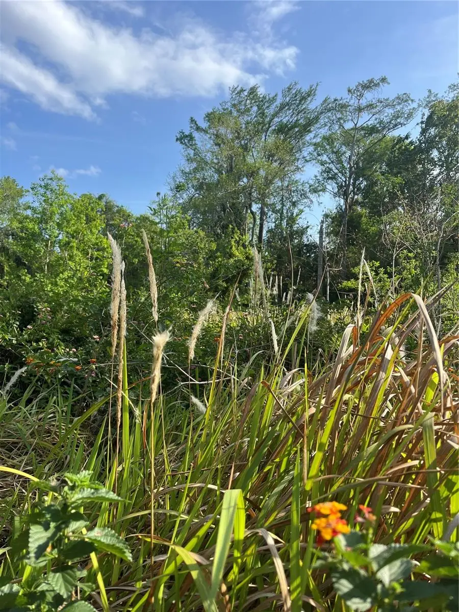 Harvest Lane, Kissimmee, FL 34744 - #3