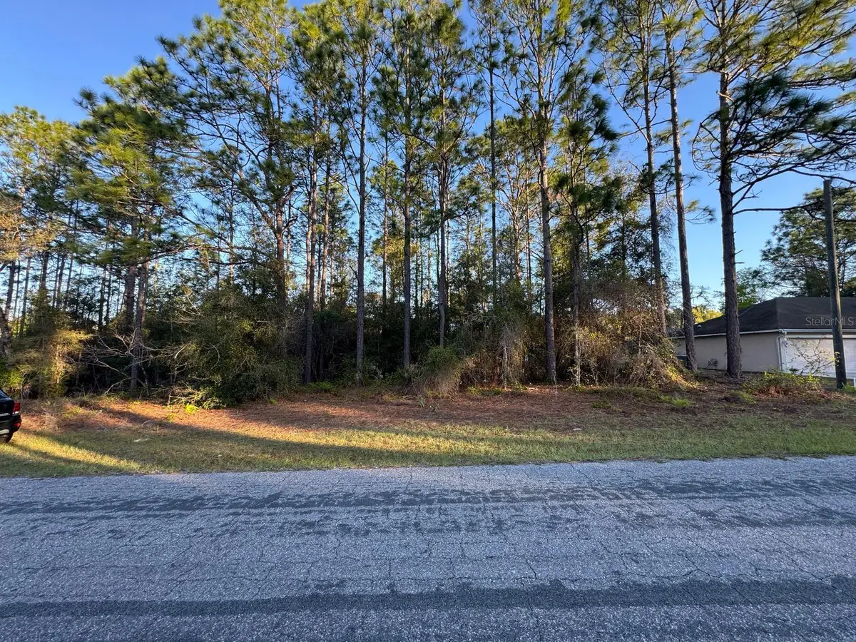 7974 N Sarazen Drive, Citrus Springs, FL 34434 - Image #1