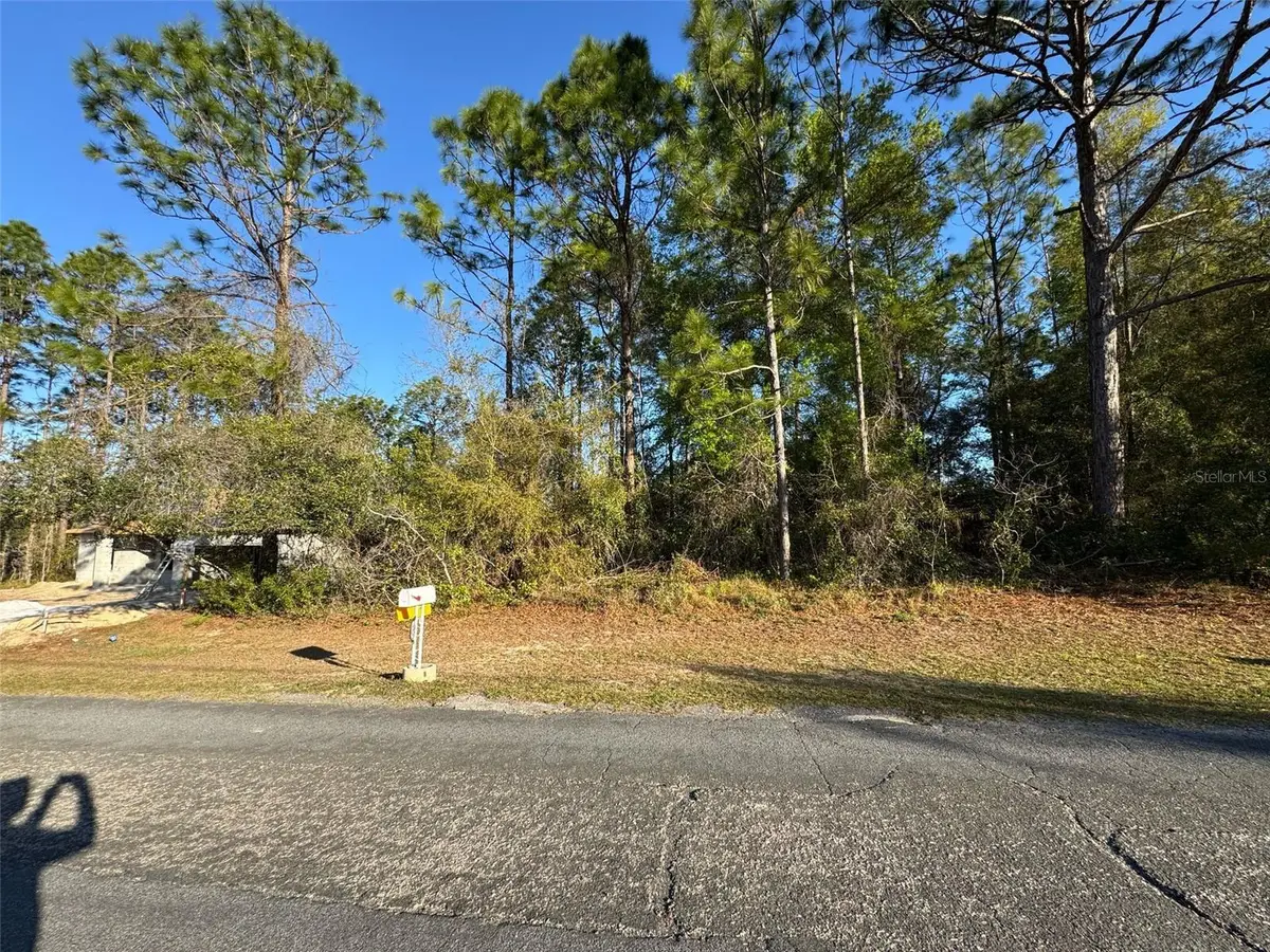 7890 N Pocono Drive, Citrus Springs, FL 34434 - Image #1