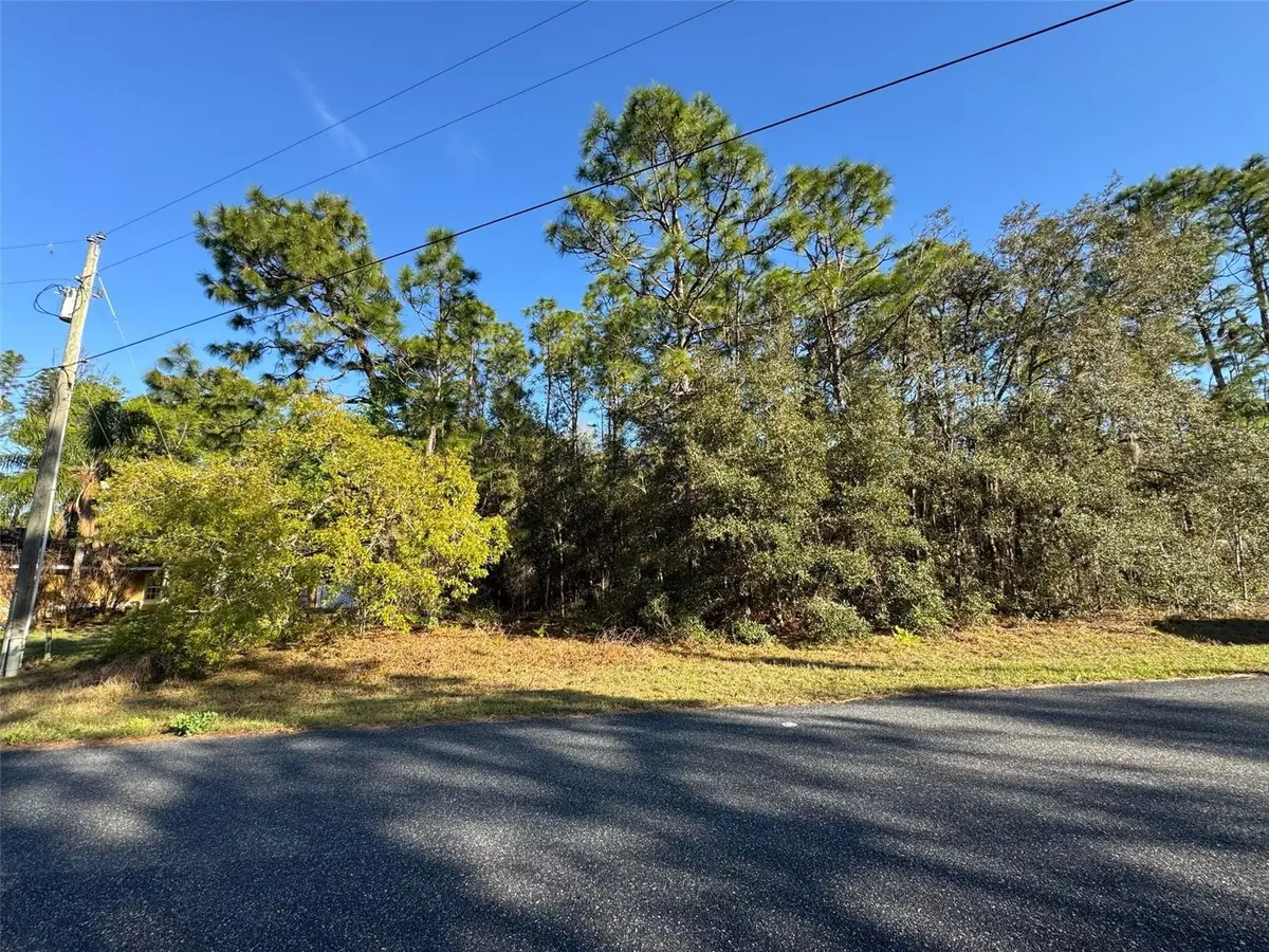 7896 N Triana Drive, Citrus Springs, FL 34434 - Image #1