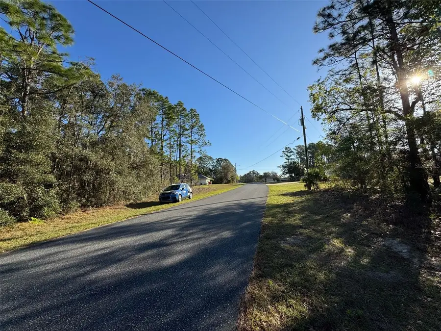 7896 N Triana Drive, Citrus Springs, FL 34434 - Image #2