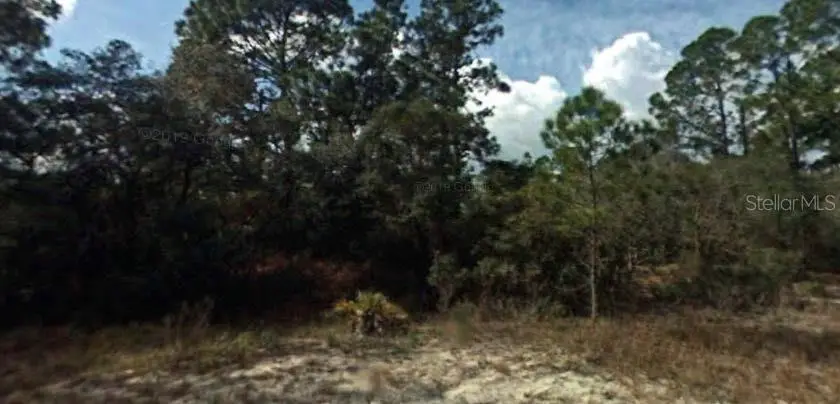 394 Showboat Avenue, Lake Placid, FL 33852 - Image #1