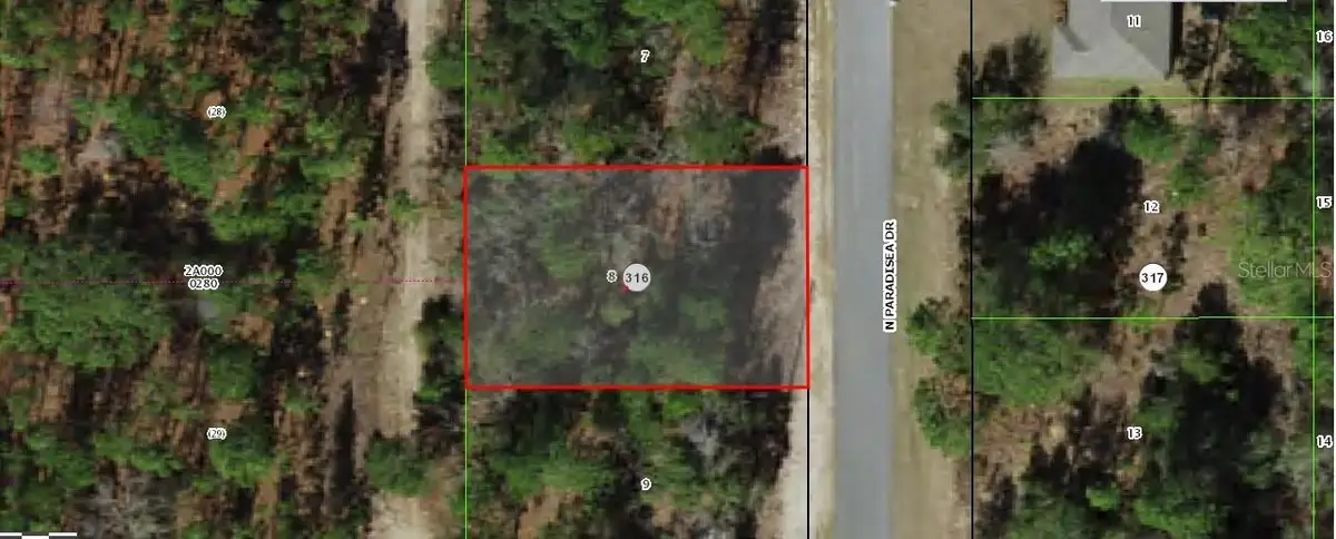 9120 N Paradisea Drive, Citrus Springs, FL 34433 - #1