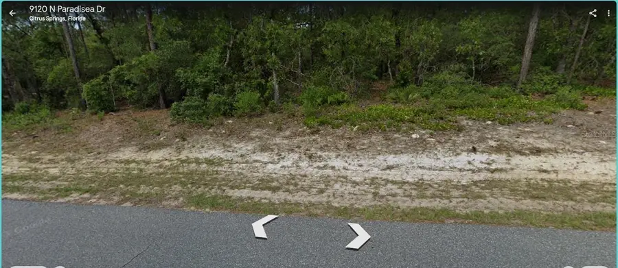 9120 N Paradisea Drive, Citrus Springs, FL 34433 - #2