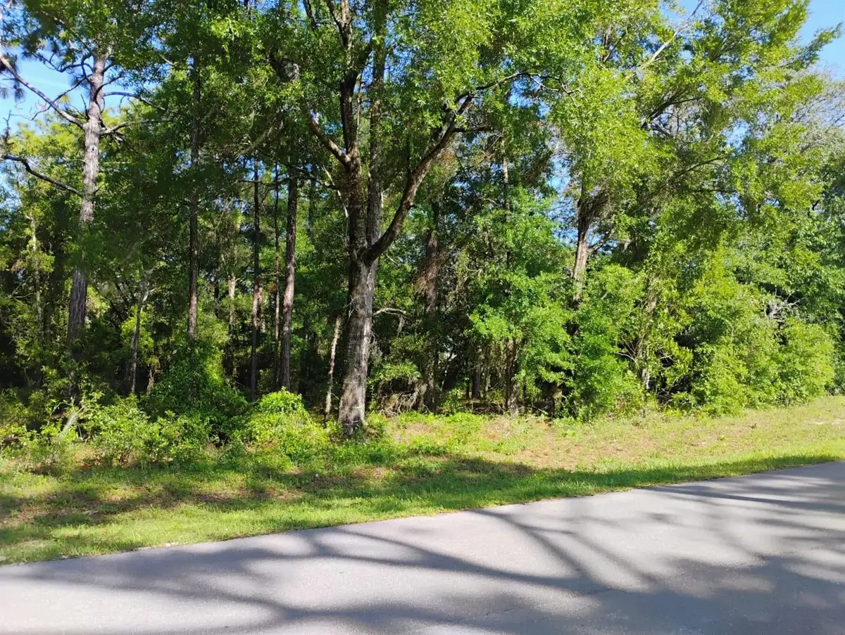 North East 155th Court, Williston, FL 32696 - Image #1