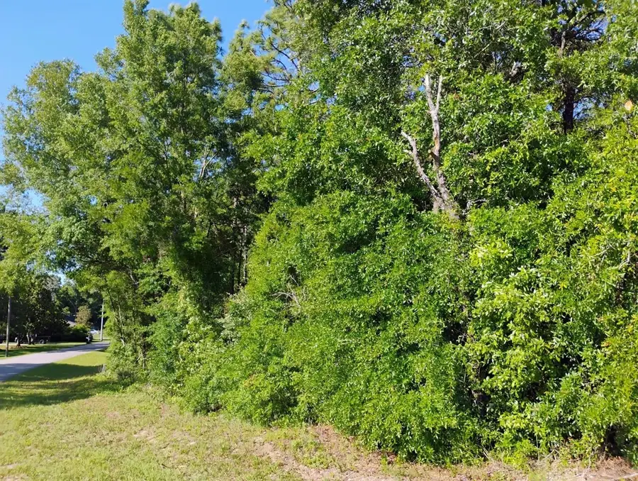 North East 155th Court, Williston, FL 32696 - Image #3