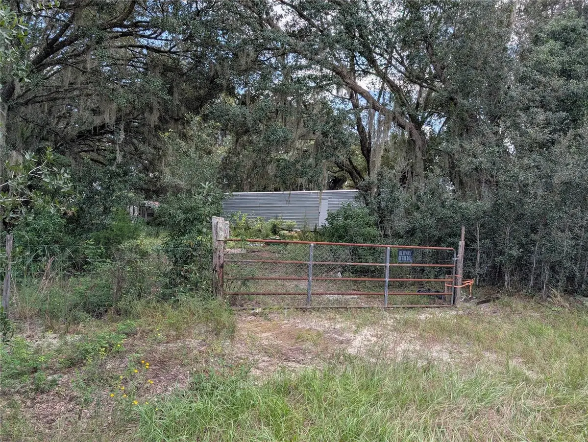 109 Rhododendron Lane, Interlachen, FL 32148 - #1