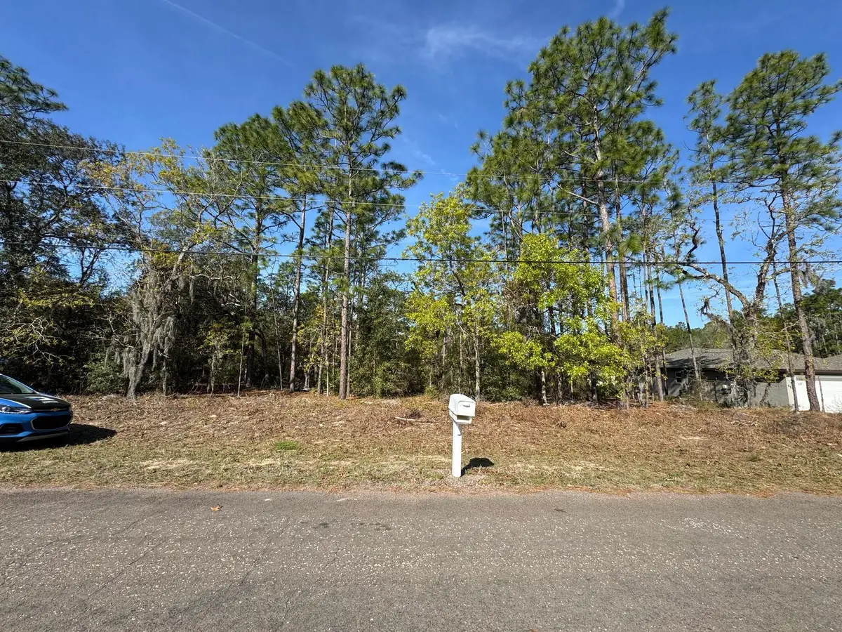 6948 N Lockwood Way, Citrus Springs, FL 34434 - Image #1