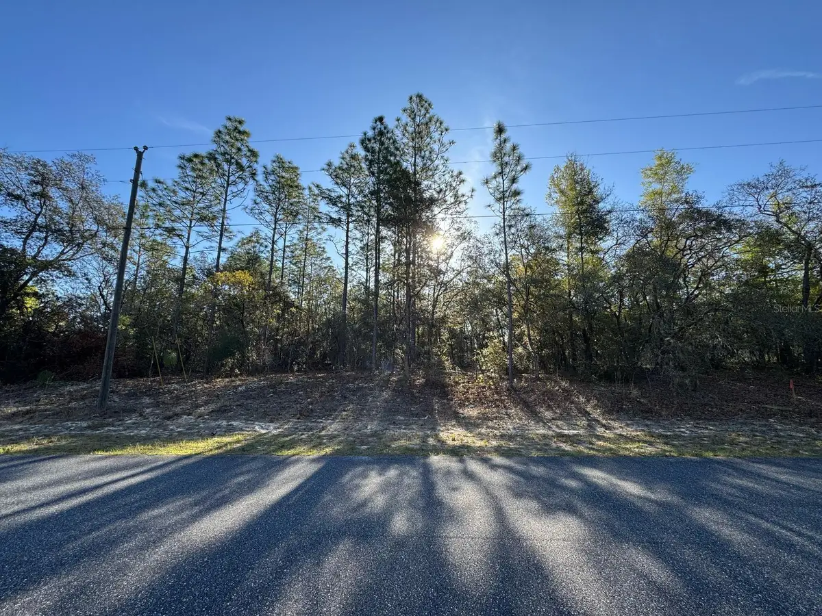 8161 N Triana Drive, Citrus Springs, FL 34434 - Image #1