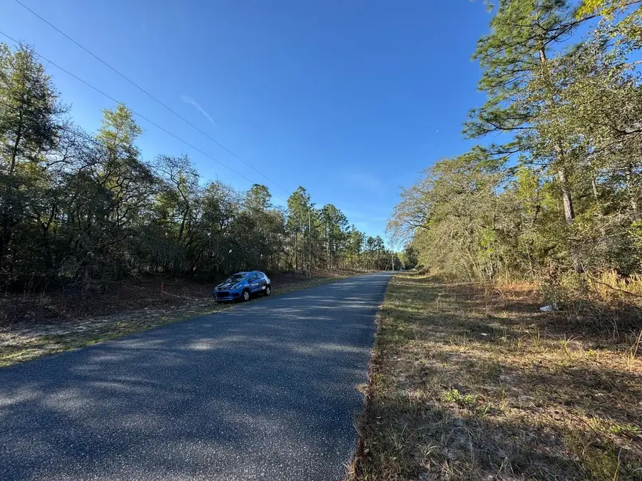 8161 N Triana Drive, Citrus Springs, FL 34434 - Image #2