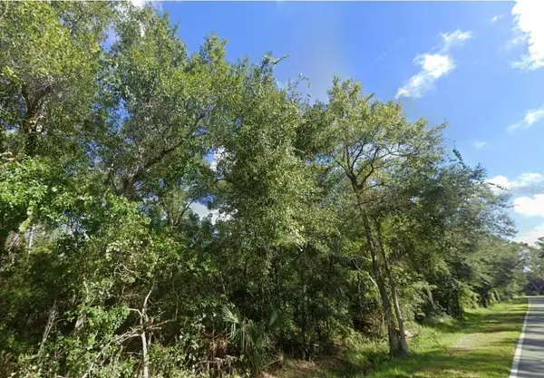 000 Old Kissimmee Road, DAVENPORT, FL 33896