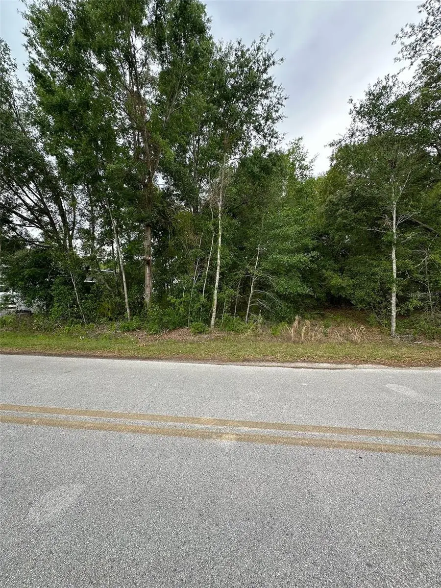 Se 86th Court, Belleview, FL 34420 - Image #2