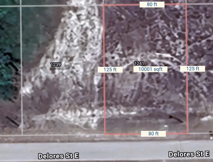 1241 Delores Street E, Lehigh Acres, FL 33974 - #2