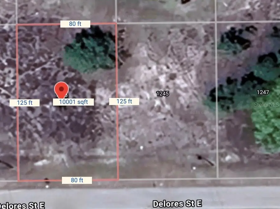 1243 Delores Street E, Lehigh Acres, FL 33974 - #2