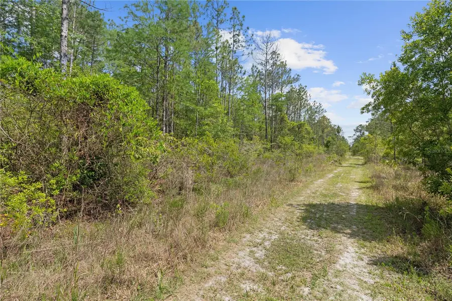 Crotty Avenue, Hastings, FL 32145 - Image #2