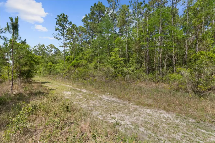 Crotty Avenue, Hastings, FL 32145 - Image #3