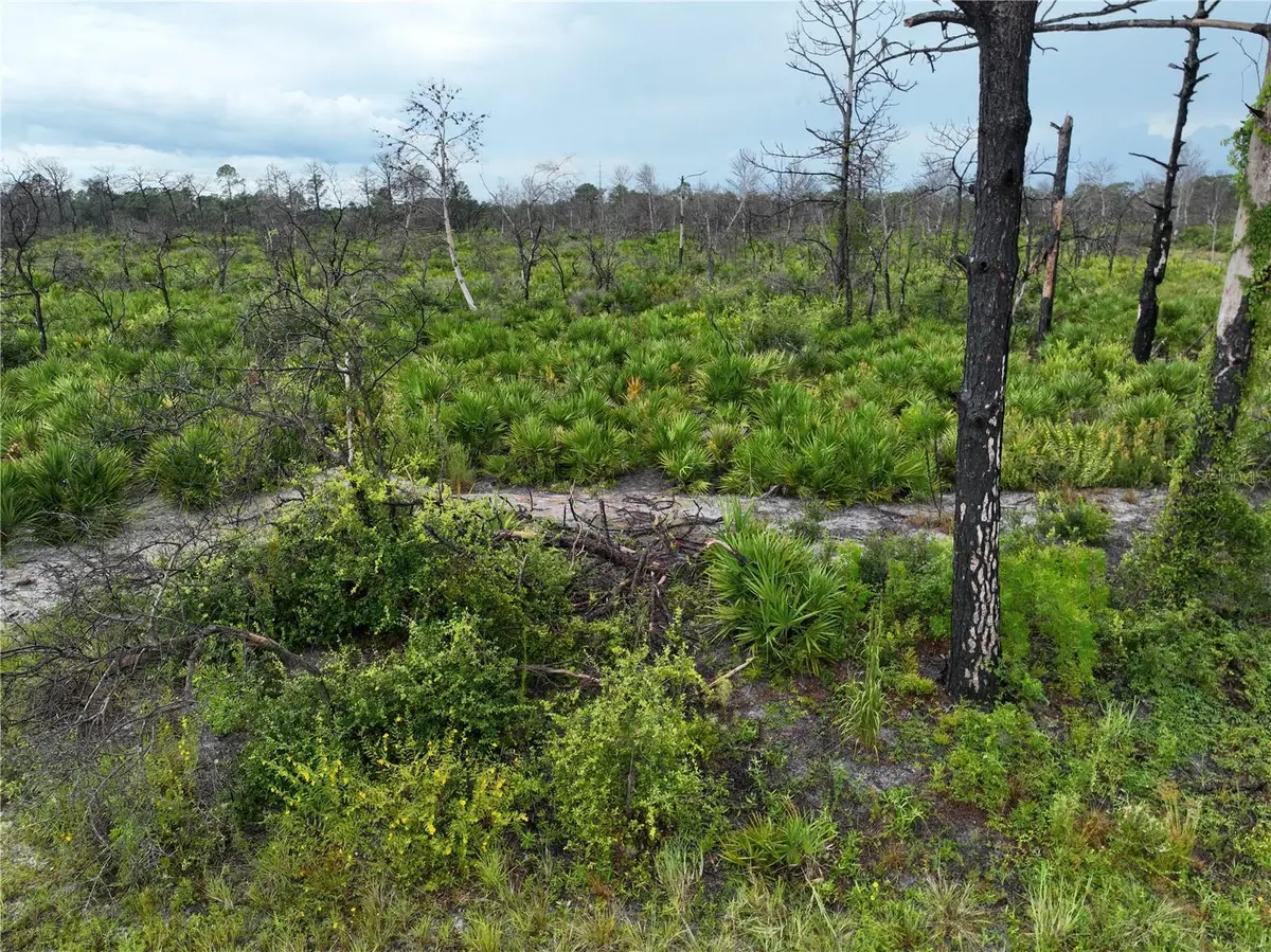 3520 Mariana Avenue, Lake Placid, FL 33852 - Image #1