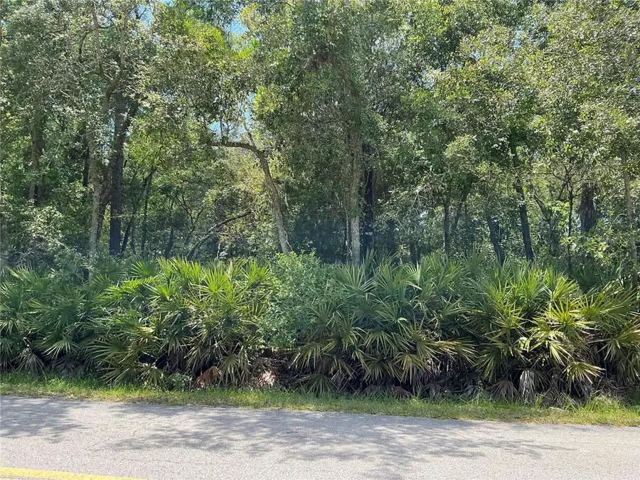Lot 15 Nw 118th Ter, Ocala, FL 34482 - Image #2