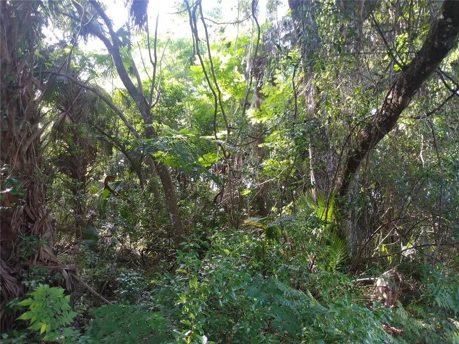 Address Withheld By Seller, Geneva, FL 32732 - Image #2