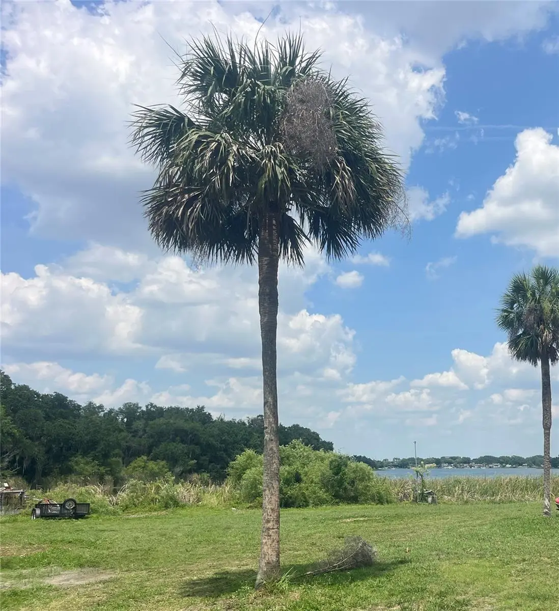 1231 43rd Street, Orlando, FL 32839 - Image #1