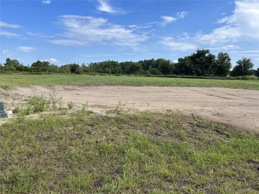 12950 Stillwater Cove Drive, Astatula, FL 34705 - Image #2